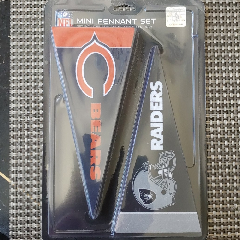 NFL Mini Pennant set